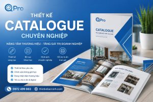 thiết kế catalo chuyên nghiệp tại bắc ninh gọi qpro